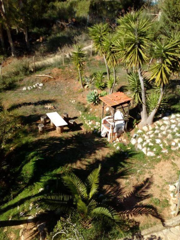 Casa Do Avo Teixeira Villa Sesimbra Eksteriør billede