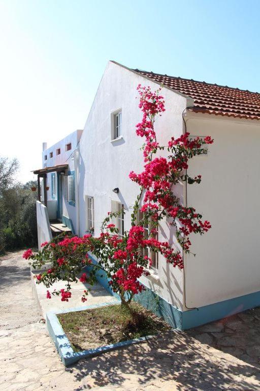 Casa Do Avo Teixeira Villa Sesimbra Eksteriør billede